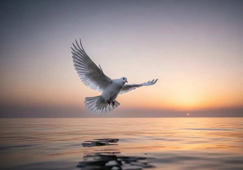 A white dove flying over a calm ocean at dusk